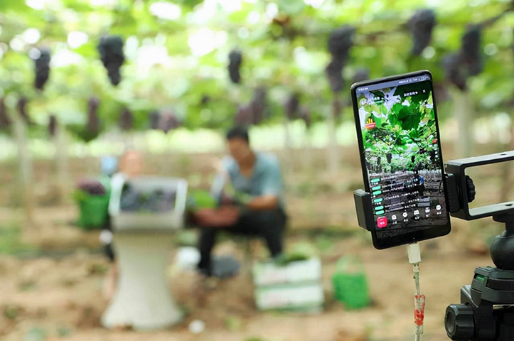 农产品短视频营销策划-短视频营销